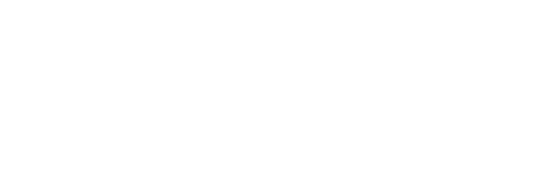 Salomon Realty, LLC